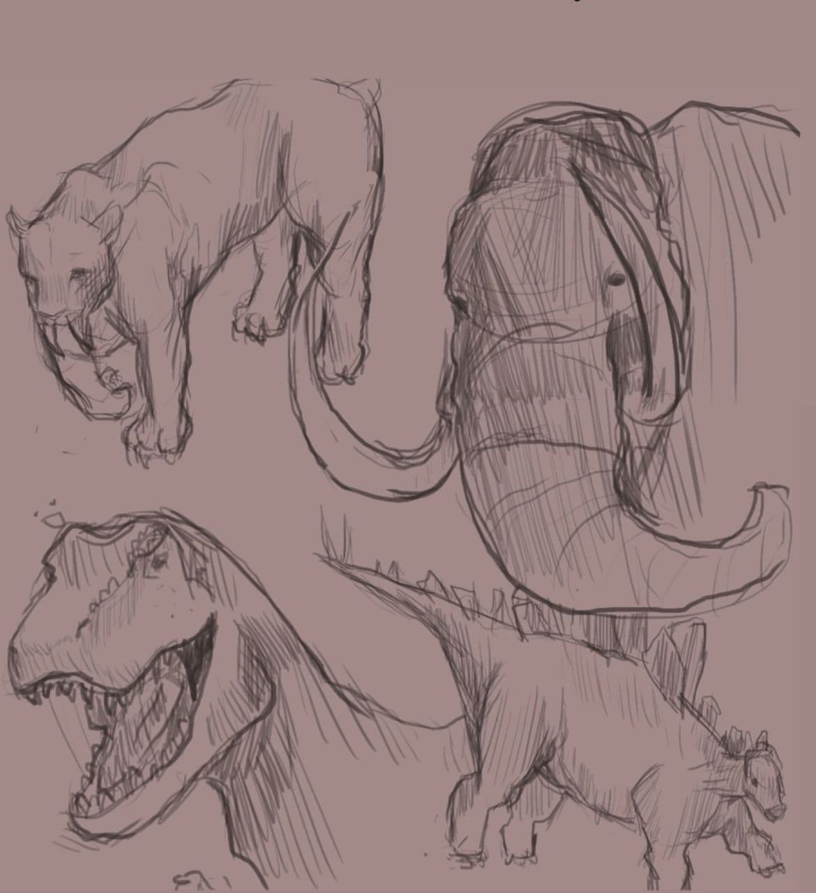 Pencil studies of a panther, mammoth and t-rex