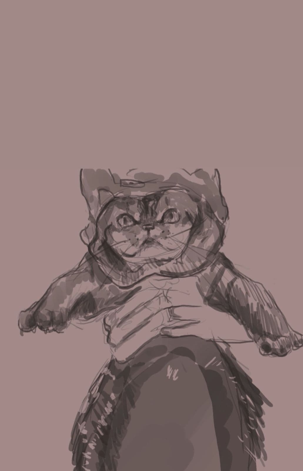 Digital sketch of a tabby cat being held up by two hands